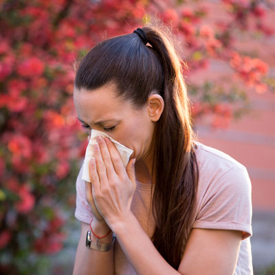 Allergy Chiropractor in Tampa FL