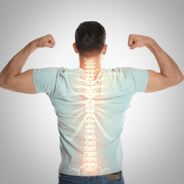 Chiropractor in Tampa Florida - Redefine Your Spine