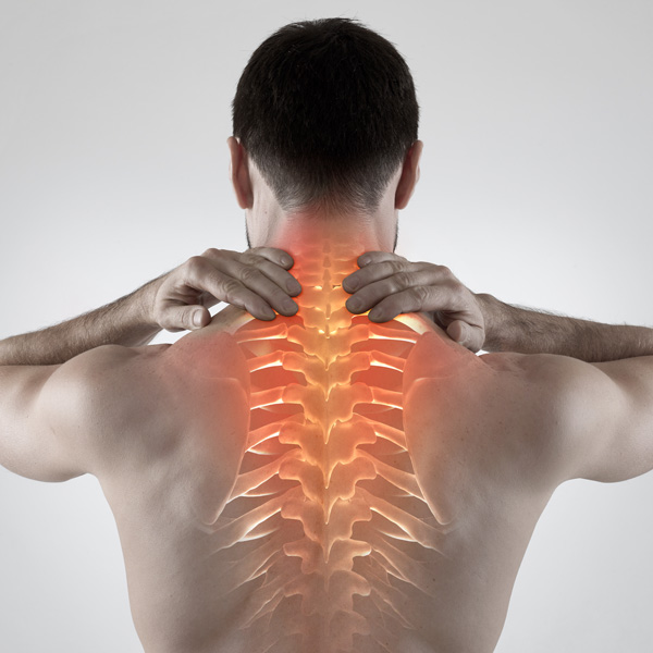 Whiplash and Neck Pain Chiropractor - Car accident chiropractic Carrollwood
